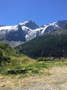 Appartements The chalet de la Meije - Facing the Plateau d'Emparis : photos des chambres