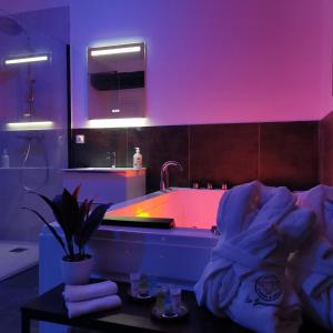 Les Sansonnets Appart & Spa