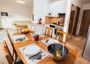 Aparthotel Rosa 404 - 克尔什科