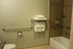 Holiday Inn Express Hotel & Suites Tucson Mall by IHG