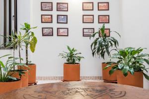 Hotel El Campin