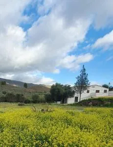 Casa Hoya Grande - Risco Blanco