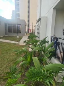 Cali Kamelia Bochalema