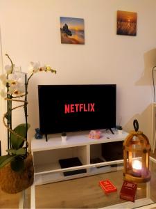 Private Independant flat - Lourdes city center - 2 Balconies