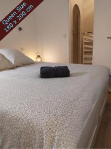 Appartements Private Independant flat - Lourdes city center - 2 Balconies : photos des chambres