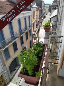 Appartements Private Independant flat - Lourdes city center - 2 Balconies : photos des chambres