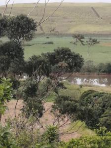 Serendipity Country House - Séjours à la campagne, Amanzimtoti