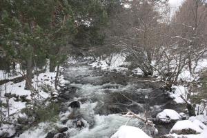 El Jardín de Alameda