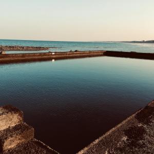 Appartements Studio~ Les pieds dans l'eau 2~ : photos des chambres
