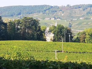 Maisons de vacances Le Temps d une Pause a Boursault : photos des chambres