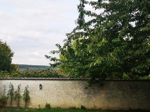 Maisons de vacances Le Temps d une Pause a Boursault : Cottage - Vue sur Jardin