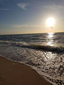 Aprum Apartments 10C