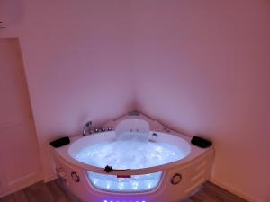 Appartements LE PIED A TERRE - JACCUZZIS et JARDIN PRIVES : photos des chambres