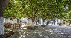 The Nest Tinos Greece