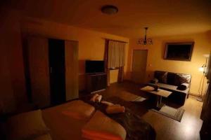 HBR Friendly Apartment