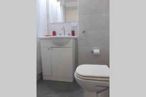 CALIDO CONFORTABLE Y LUMINOSO DEPTO EN PALERMO