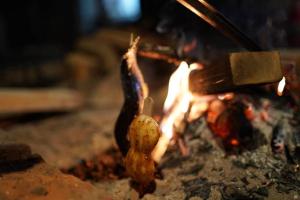 Kamiya Rare Experience in a 180 Year Old Farmhouse Milky Way Irori Fire and Nature!