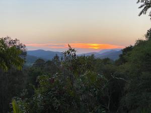 THE GOLDEN RETREAT POOL HOUSE