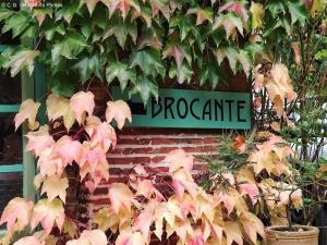 Domaine de la côte aux chats photo 9