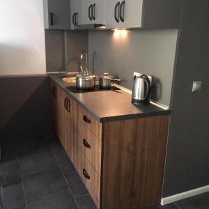 АпартаментиTrembita