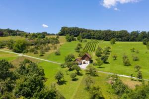 Weingarten & Appartement Auszeit with private Spa