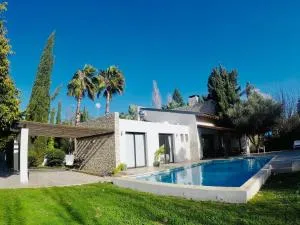 The Stone Villa - Anoyira