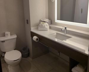 Standard King Room room in Holiday Inn Express Lordstown-Newton Falls/Warren an IHG Hotel