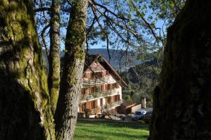 Maisons de vacances A l'Oree du Bois : photos des chambres