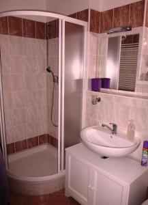 Apartmán Velké Losiny