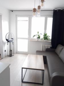 Fargo Apartament