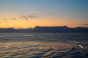 Ostria Corfu Old Town Apartment