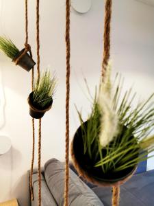 Apartament za Muzeum Papiernictwa