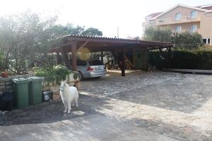 Summer house in Novalja 