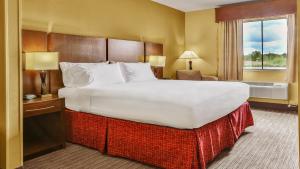 King Room room in Holiday Inn Express & Suites Houston South - Near Pearland an IHG Hotel