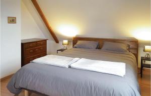 Maisons de vacances Amazing home in Odratzheim with 2 Bedrooms and WiFi : photos des chambres