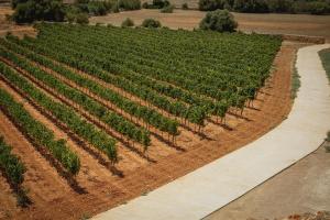 Camino de Cabo Blanco s/n, Llucmajor, 07620, Majorca.