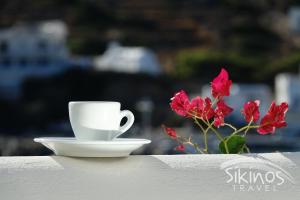 Seaside Traditional Cycladic House