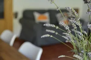 Casa Miruetxe - Atallu