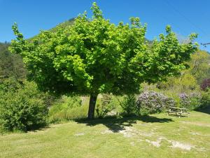 Campings Camping Calme et Nature : Emplacement Nu (Tente non Fournie)