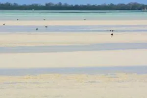 Emerald Bay Resort - Chake Chake