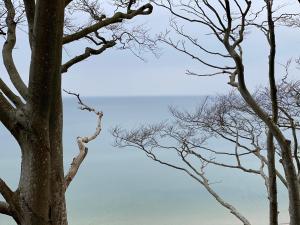 Przytulny Apartament Dębina