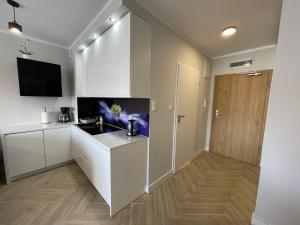 Baltic Style SPA Apartment - FREE swimming pool, saunas & fitness - Kasprowicza 20