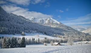 Chalets Chalet Cannelle : Chambre Double ou Lits Jumeaux Deluxe - Vue sur Montagne