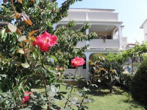 Apartments Lopar (893)