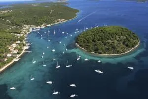 Robinson House Zut (3467) - Pinizelić