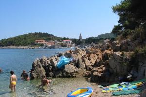 Guesthouse Losinj (4241)