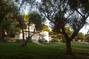 Far Out Village Hotel Ios Greece