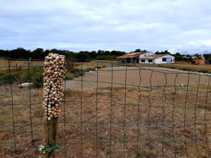 Maisons de vacances La Fleur des Marais - 3 chambres & jardin 400m2 : photos des chambres