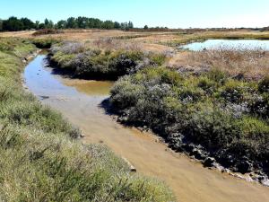 Maisons de vacances La Fleur des Marais - 3 chambres & jardin 400m2 : photos des chambres