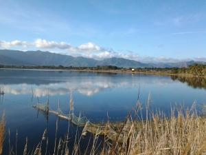 Villa Primavera img16